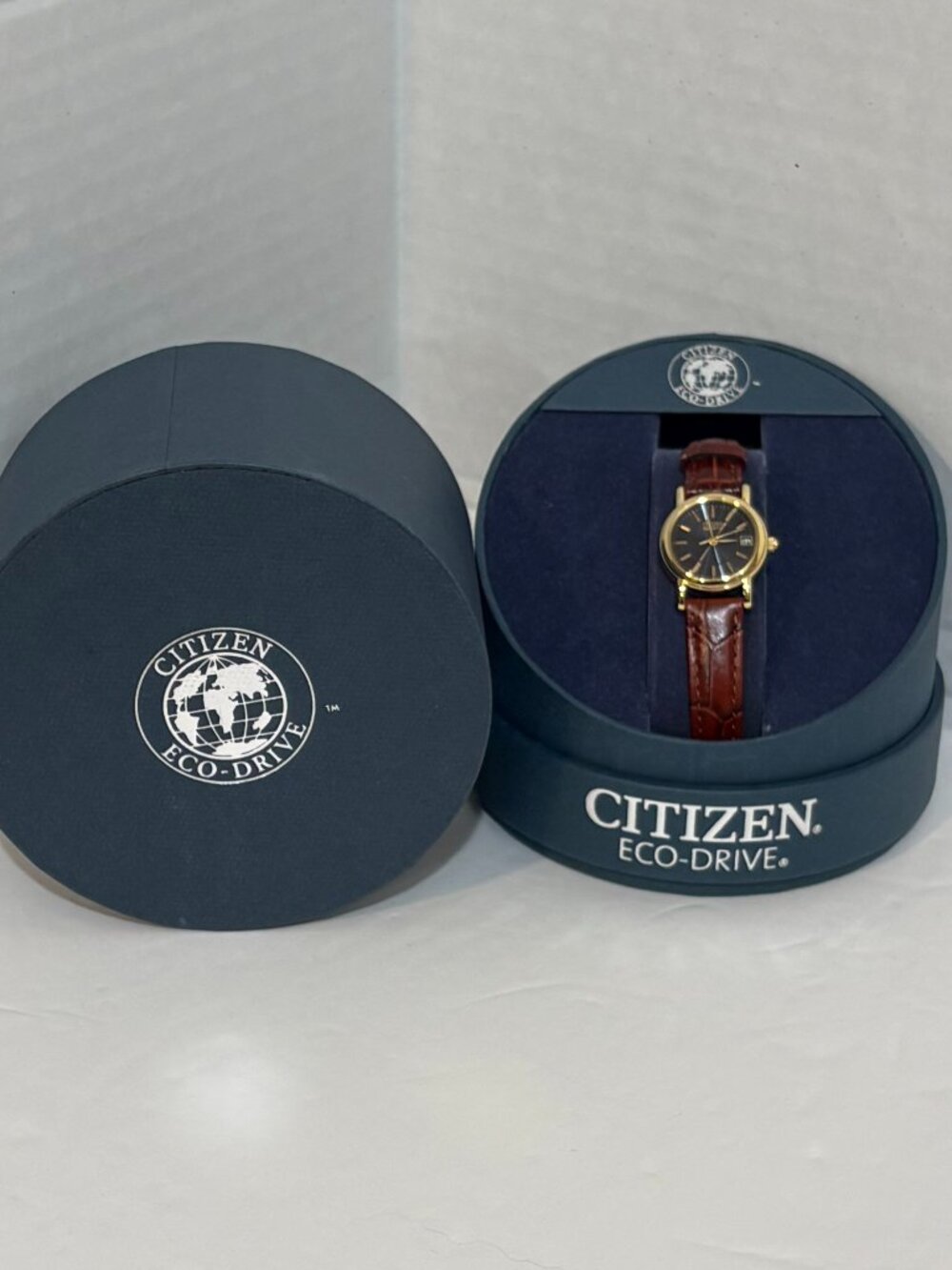Citizens Eco-Drive E011-S049423 Leather Band Black Dial Womans Watch Excellent